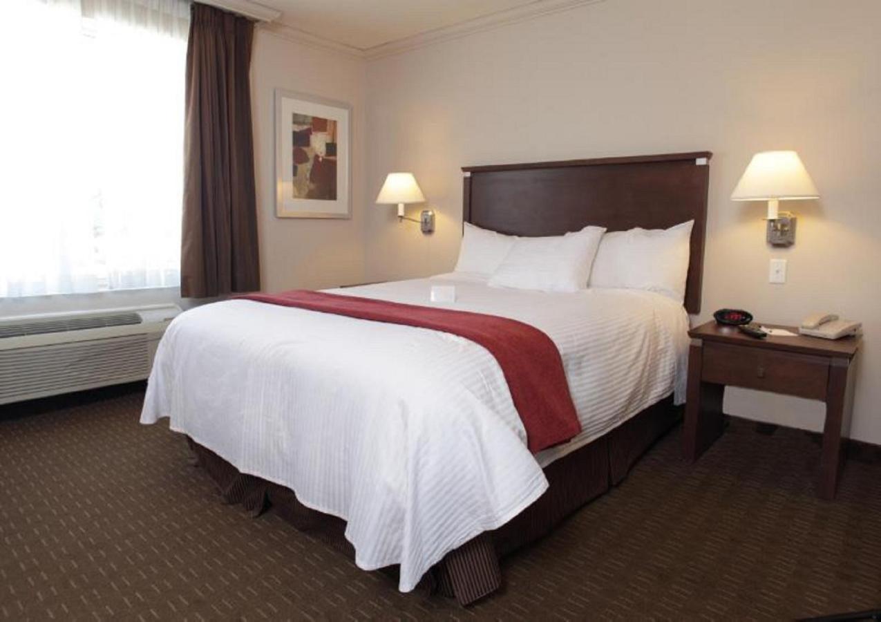 Best Western Plus Guildwood Inn Sarnia Exteriör bild